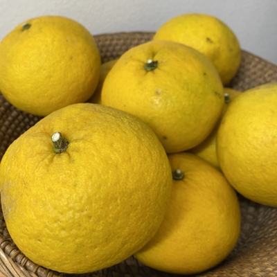 沖縄県産　比嘉さん　自然栽培　甘夏