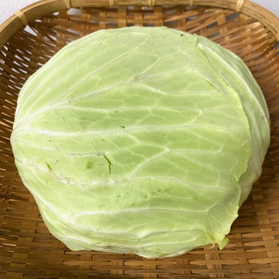 淡路島産　野田さん　農薬・化学肥料不使用　キャベツ　1/2カット
