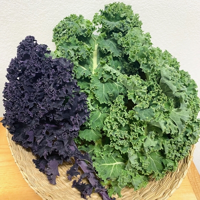 淡路島産　野田さん　農薬・化学肥料不使用　サラダケール