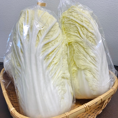 淡路島産　野田さん　農薬・化学肥料不使用　白菜　1/2カット