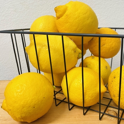 淡路島産　野田さん　農薬・化学肥料不使用　レモン　1個