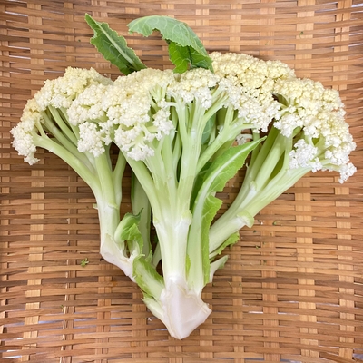 淡路島産　野田さん　農薬・化学肥料不使用　カリフローレ