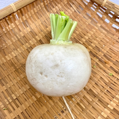 淡路島産　野田さん　農薬・化学肥料不使用　かぶ　1個(大)