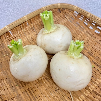淡路島産　野田さん　農薬・化学肥料不使用　かぶ　1個(中)