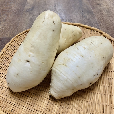 沖縄県産　いもり屋金城さん　有機無農薬　島大根　1本