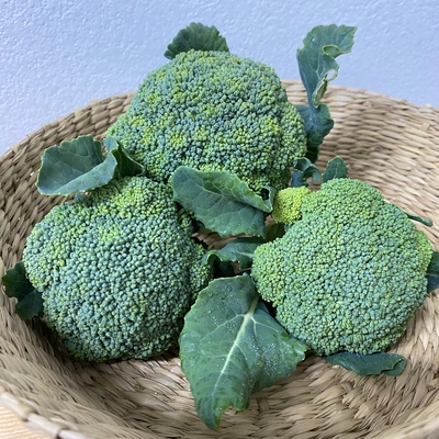 淡路島産　野田さん　農薬・化学肥料不使用　ミニブロッコリー