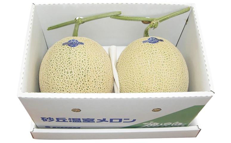 JA南さつま】加世田アールスメロン2玉化粧箱入り | 南さつま特産品