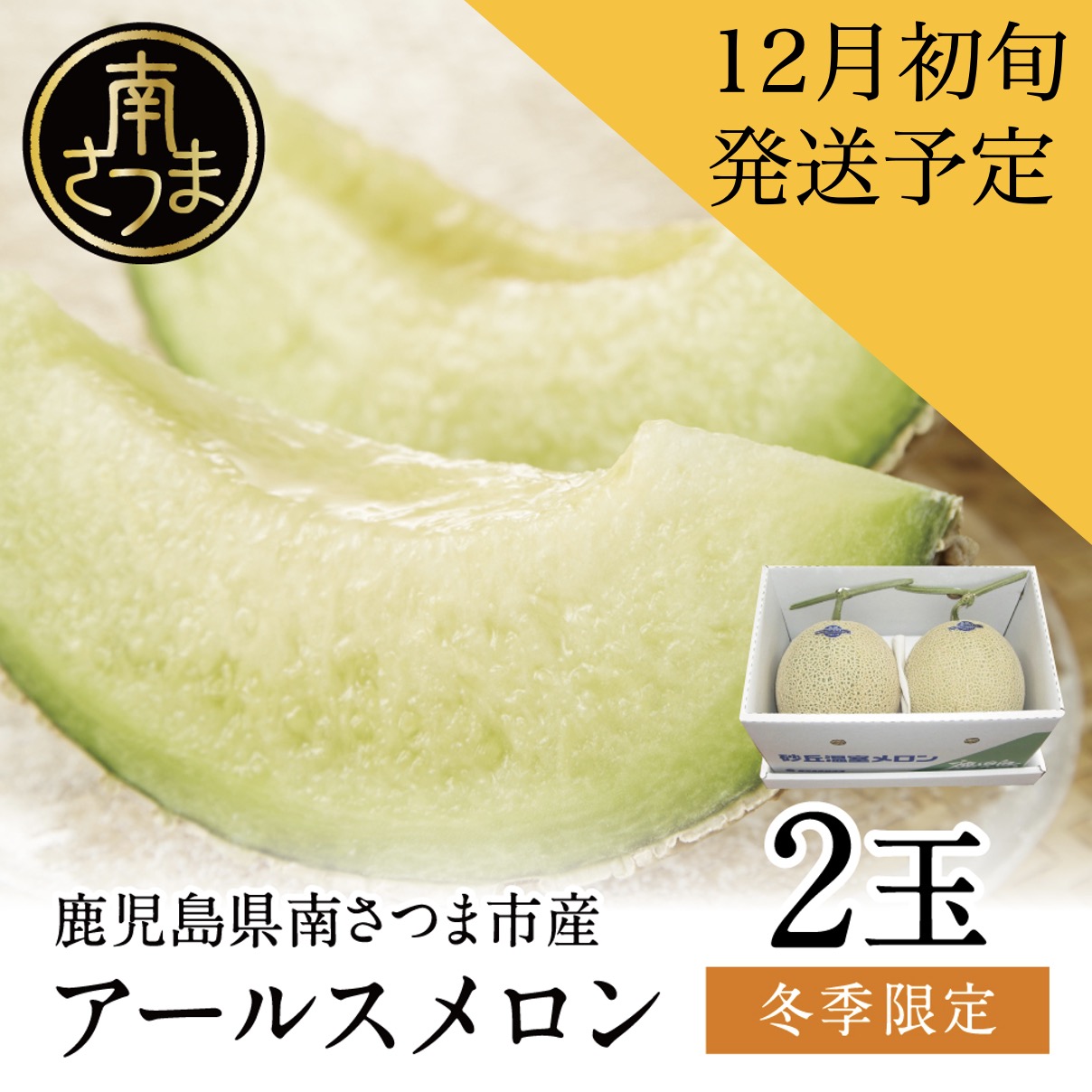 JA南さつま】加世田アールスメロン2玉化粧箱入り | 南さつま特産品