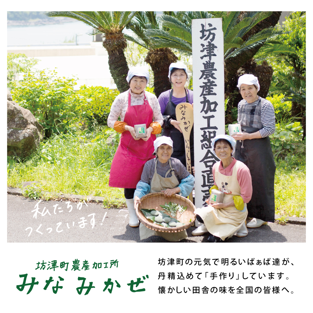 みなみかぜ】ばぁばの手作りよもぎもち | 南さつま特産品ショップ