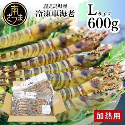 【博多浦マリンファーム】冷凍車海老 600g