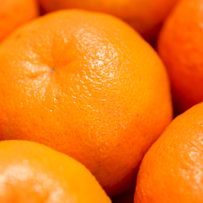 【南さつま市津貫】津貫産ぽんかん 約5kg