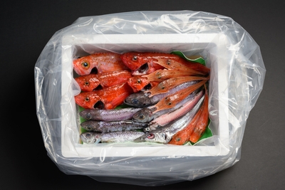 Noman Fish １㎏（野間池産　新海魚BOX）送料込み