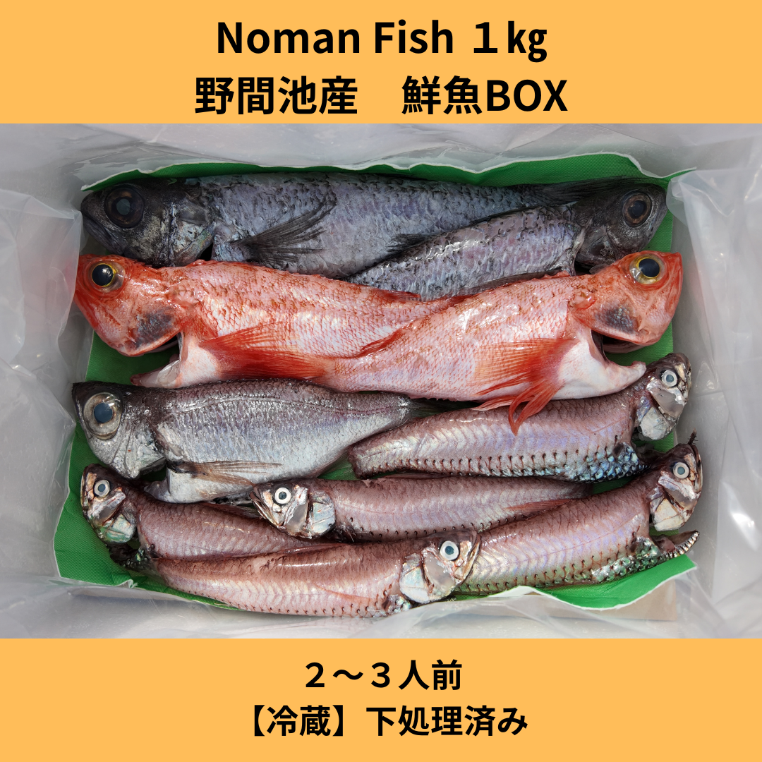 noman fish, 鮮魚BOX, 深海魚,タカエビ,南さつま市,鹿児島,新鮮