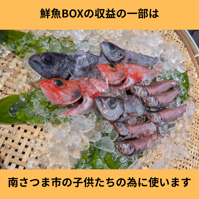 5/24~25発送分　Noman Fish １㎏（野間池産　鮮魚BOX）送料込み〈日付指定不可･時間指定のみ可〉