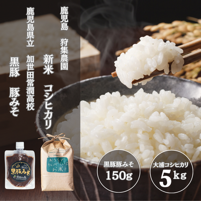 [令和8年産] 鹿児島 大浦町産コシヒカリと黒豚みそのごはんセット5kg