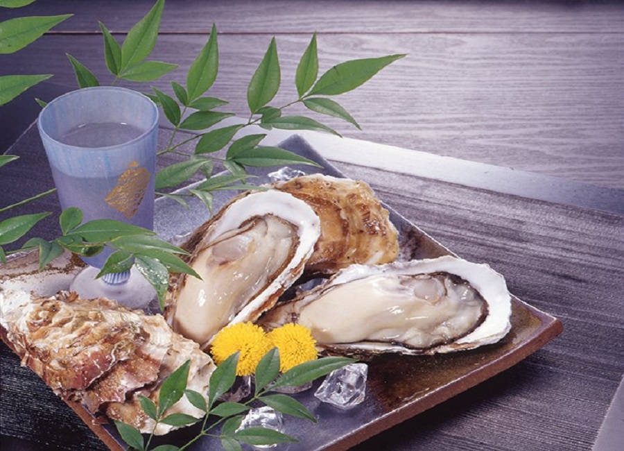 ゆっきー様専用 60アクリル水槽用 2層式 熊本県送料込 水槽 アクリル