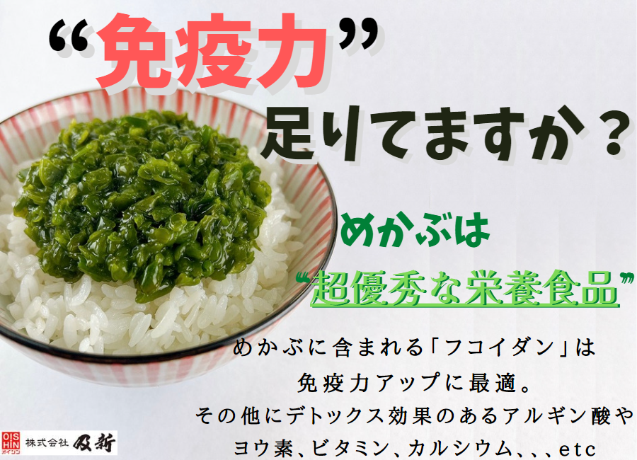 めかぶづくしバラエティセット | 及新オンラインショップ
