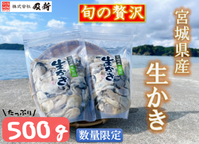【11月～2月】宮城県産 生かき（生食用）500gセット（冷蔵配送）