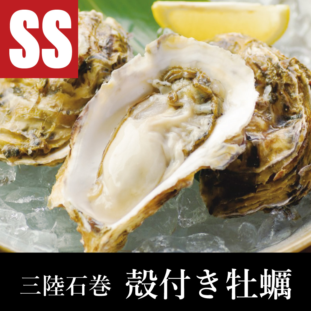 三陸石巻産 殻付き牡蠣 SSサイズ | 海遊ショップオンライン