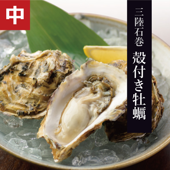 三陸石巻産 殻付き牡蠣 中サイズ | 海遊ショップオンライン