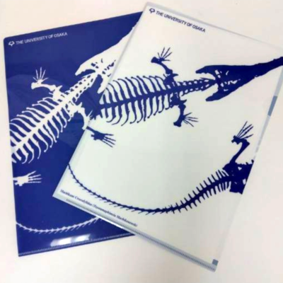 クリアホルダー　マチカネワニ