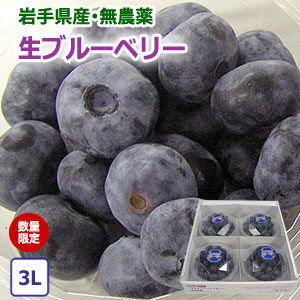 ⭐令和6年　生ブルーベリー⭐農薬不使用　3㌔ minami-farm_120