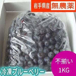 冷凍ブルーベリー1ｋｇサイズふぞろい品