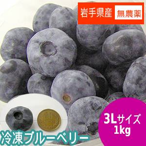 冷凍ブルーベリー1ｋｇ（３Lサイズ超特大玉）