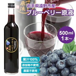 【送料無料】ブルーベリー原液(500ml)　農薬不使用 添加物不使用 岩手県産 国産 砂糖無添加 ストレート ブルーベリージュース 100％ ストレート果汁 果汁100％ 高濃度 ストレートジュース 