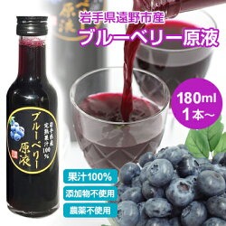 ブルーベリー原液(180ml)　農薬不使用 岩手県産 国産 砂糖無添加 ストレート ブルーベリージュース 100％ ストレート果汁 果汁100％ 高濃度 ストレートジュース ギフト お取り寄せ お取り