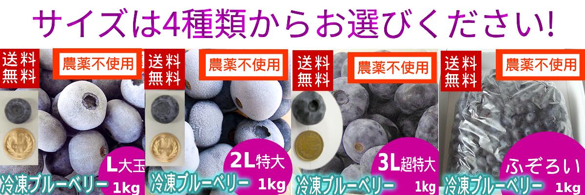サイズは4種類から選んでください！