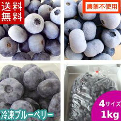 冷凍ブルーベリー（サイズ各種）1ｋｇ【送料無料】 国産!【農薬不使用】 岩手県遠野市産　大粒の冷凍ブルーベリー 【RCP】【送料込み】無農薬 大粒 アントシアニン 産地直送 完熟 お取り寄せ ギフト 