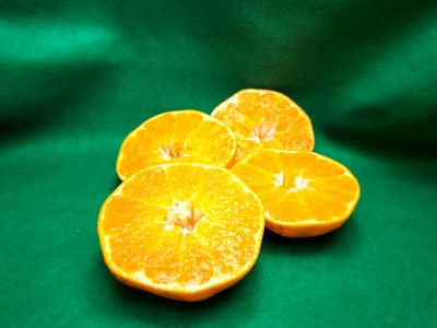 甘平(かんぺい)