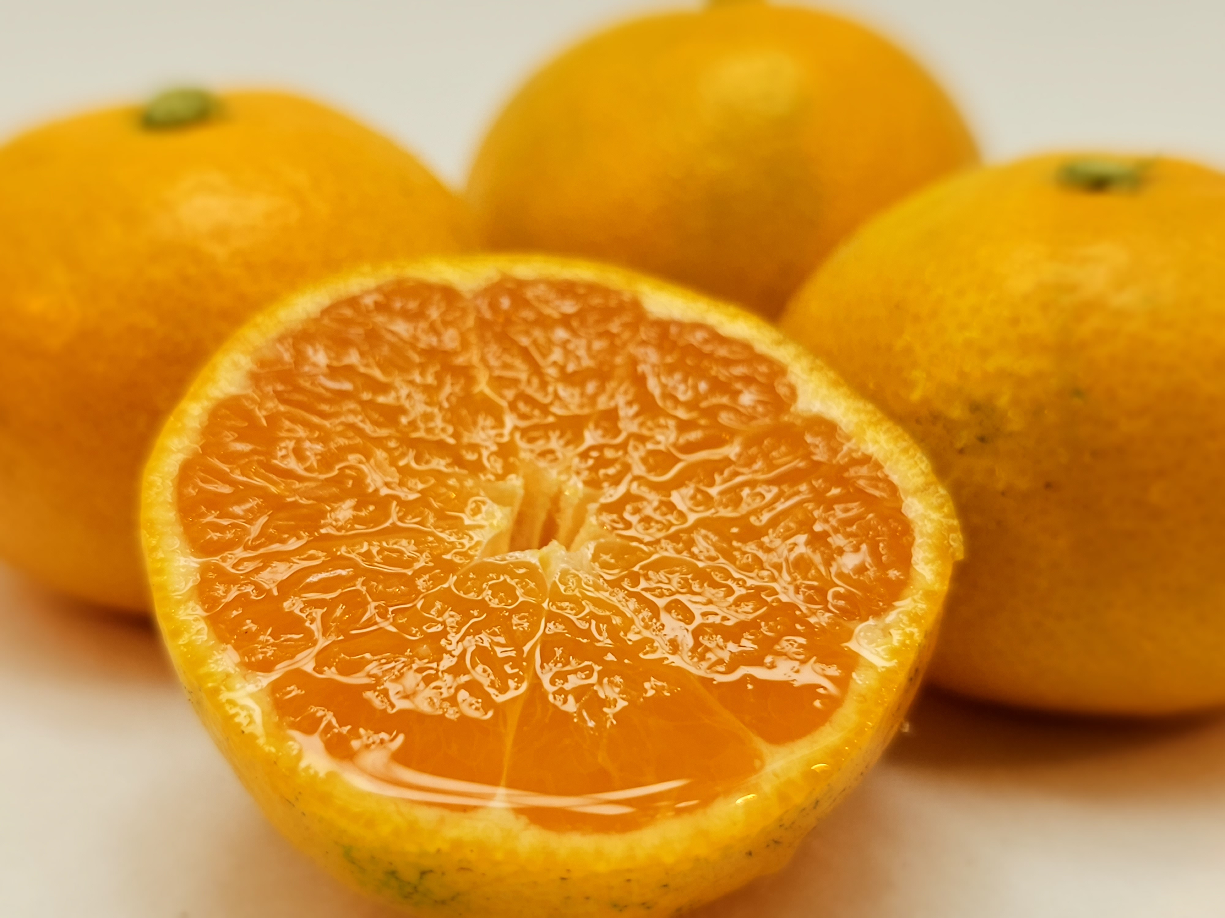 えひめ 二宮果樹園 ninomiya-fruits-kingdom