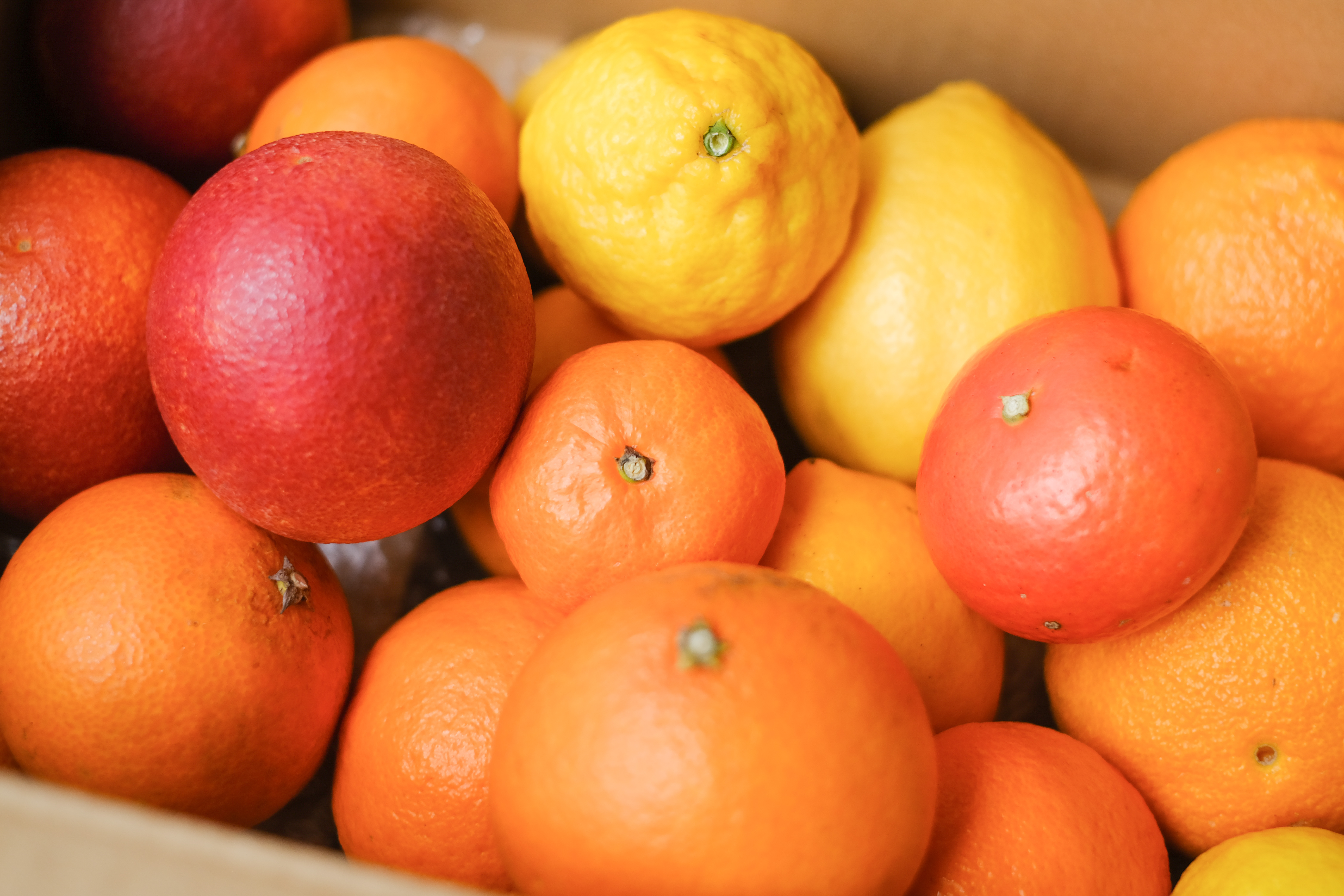 大人気の食べくらべセット