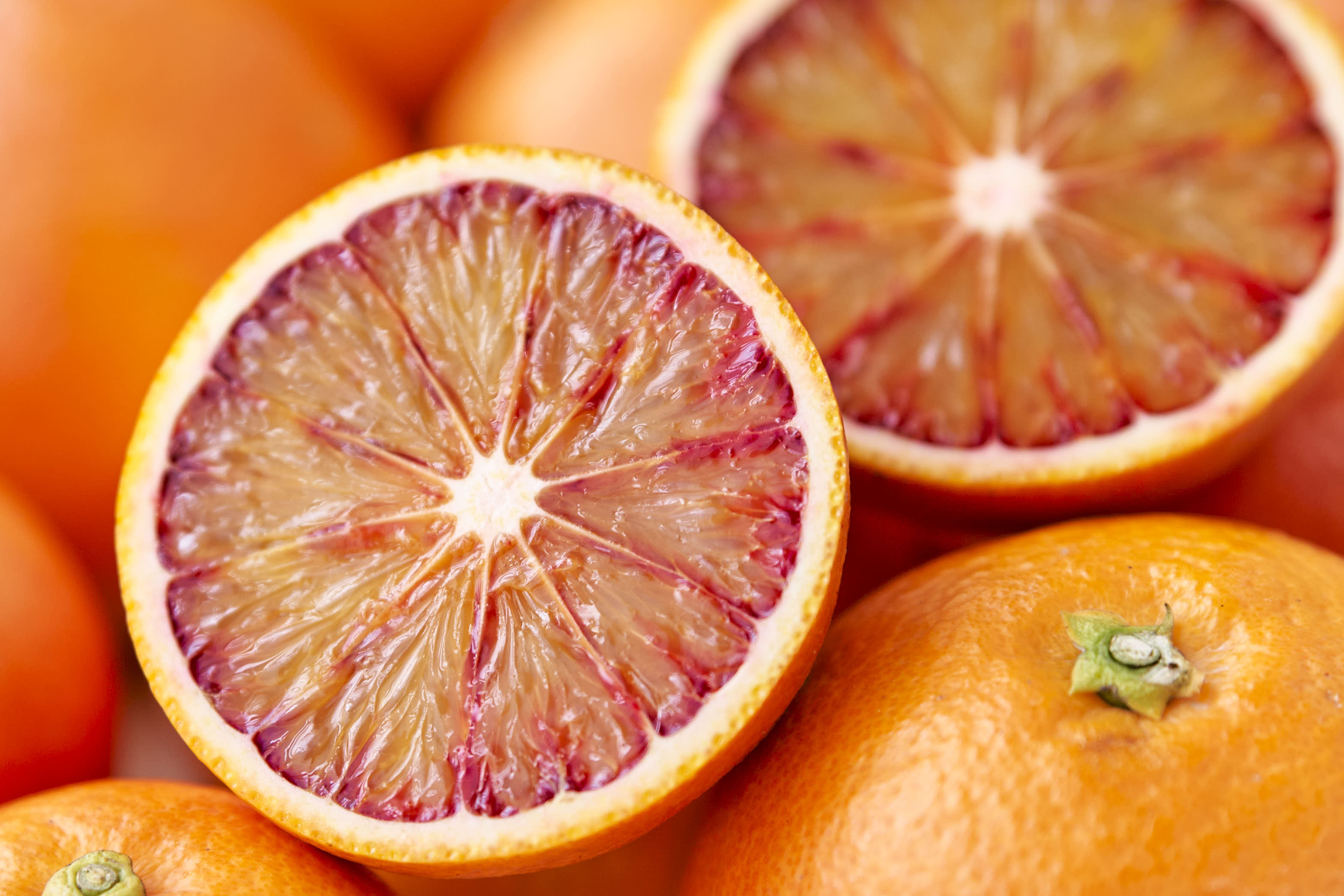 ブラッドオレンジタロッコ