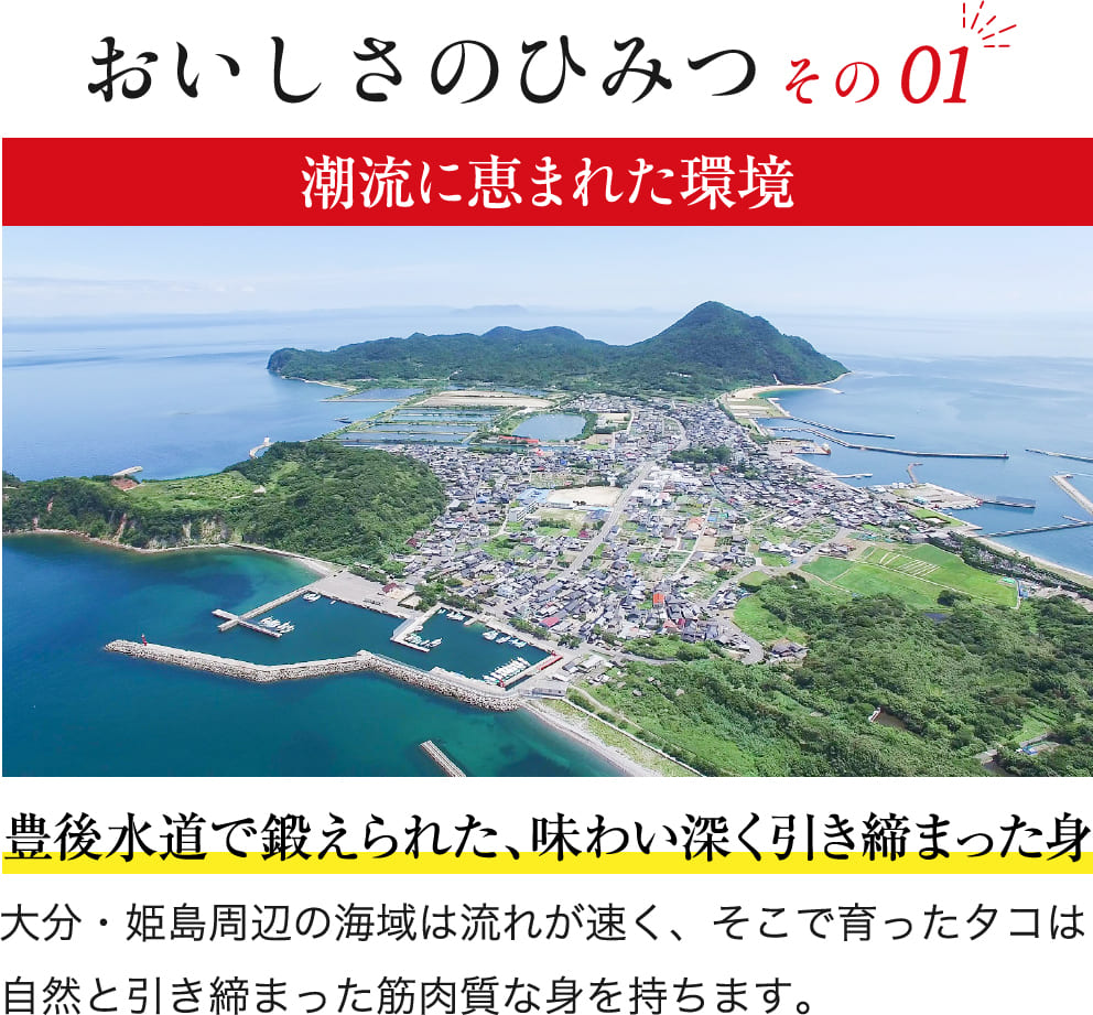 姫島周辺の潮流に恵まれた海