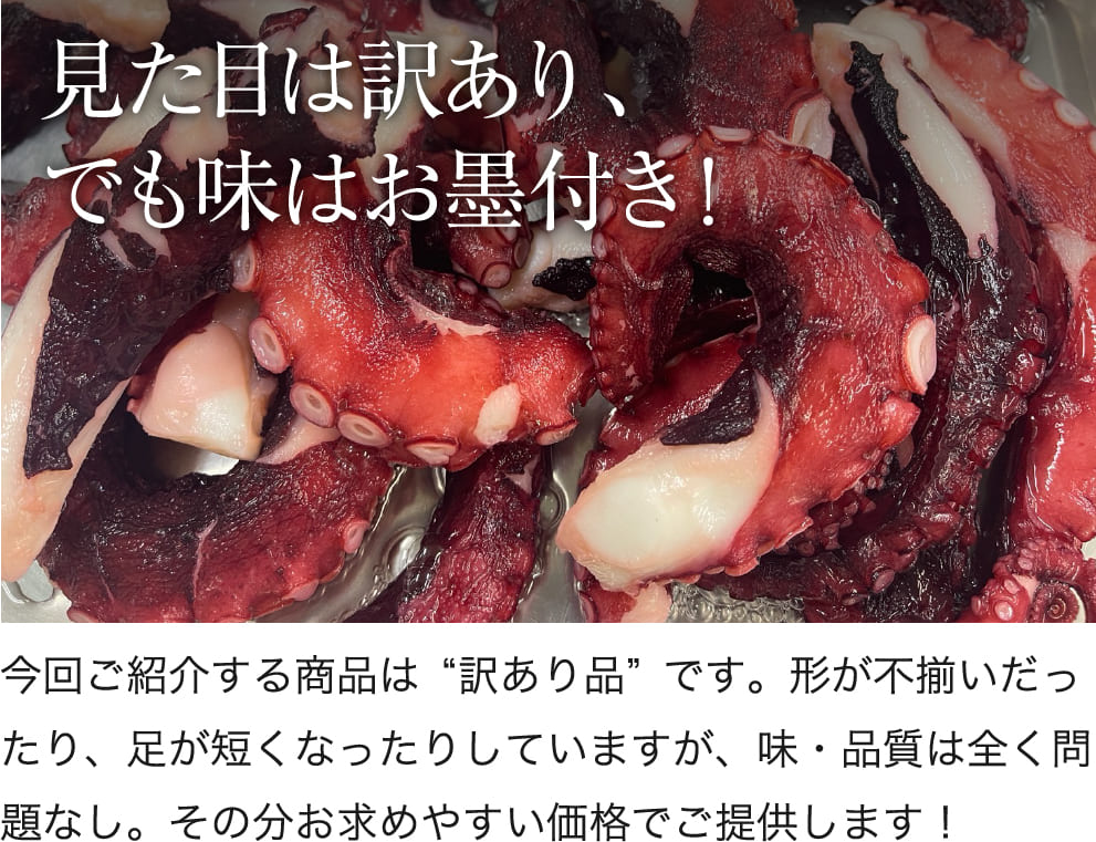 見た目は訳あり、でも味はお墨付きの姫島産天然真だこ