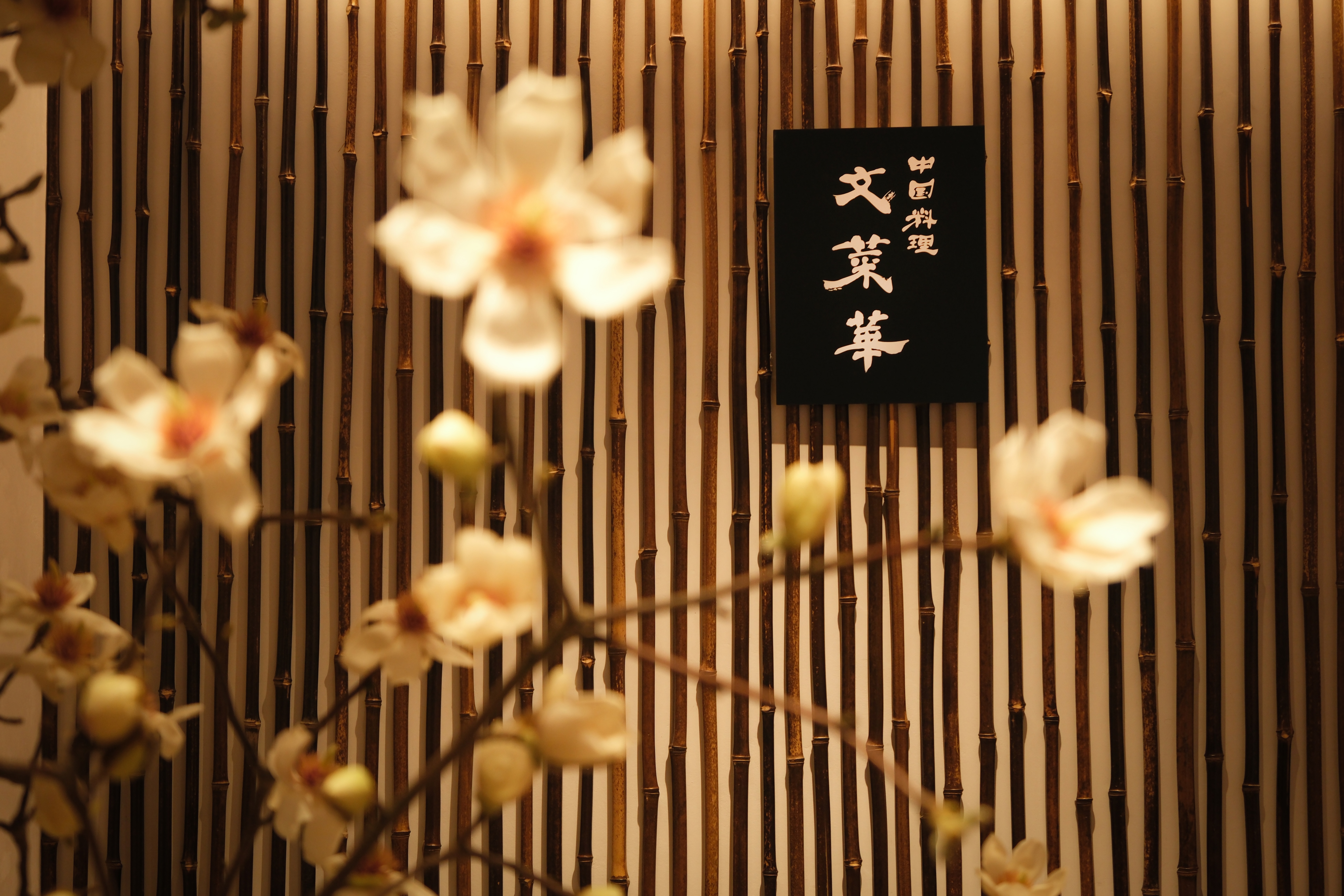 千葉県柏市 JR柏駅から徒歩7分(柏銀座通り商店会内)