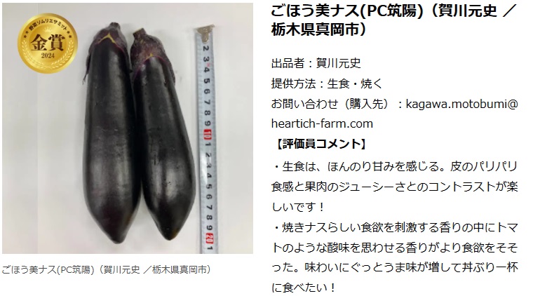 ごほう美ナス】（送料込み：約2kg、16-20本）普段の食卓に ちょっと