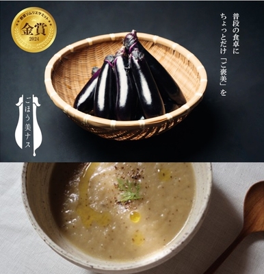 【限定15個 モニター商品】ごほう美ナス１ｋｇ と 試作ナスポタージュ2個（アンケート付き）