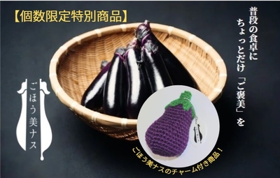 【数量限定特別商品】ノベルティグッズ付き「ごほう美ナス」(1kg 送料無料)