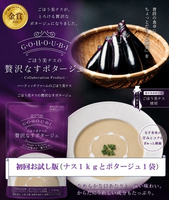 【初回お試し用】ごほう美ナス と ナスポタージュ のセット（送料込み：ごほう美ナス8-10本 ＆ 贅沢なすポタージュ１袋）