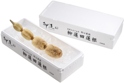 柳蓮田蓮根【夏】1kg