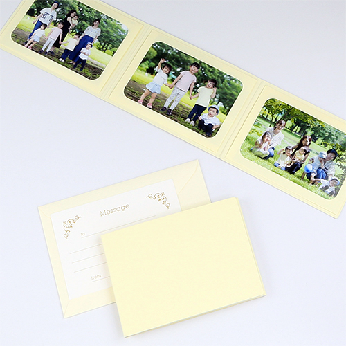 無地表紙 ポケット台紙 Lサイズ 3面ヨコ 封筒付き メッセージカード ツタ 山田屋台紙店