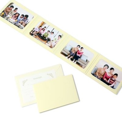 無地表紙 ポケット台紙 2Lサイズ 4面ヨコ （封筒付き・メッセージカード：ツタ）  写真台紙 ペーパーフォトフレーム