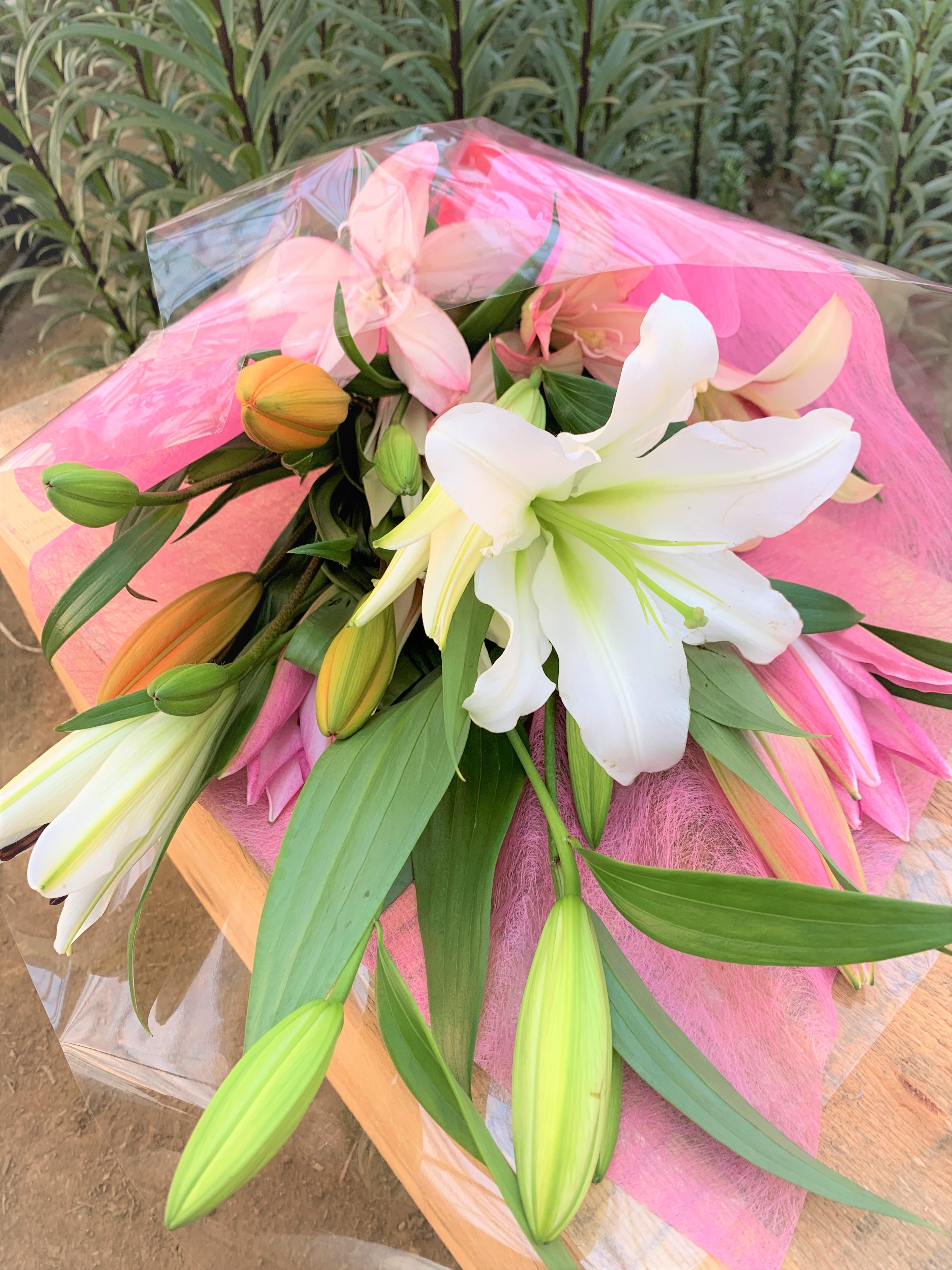 生産者おまかせ百合の花束セット Sサイズ リリーズハウス湯浅花園