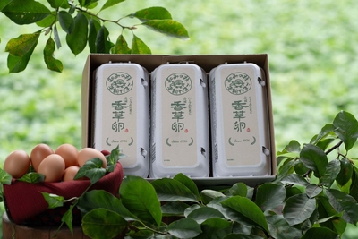 香草卵10玉×3箱（30玉入り）