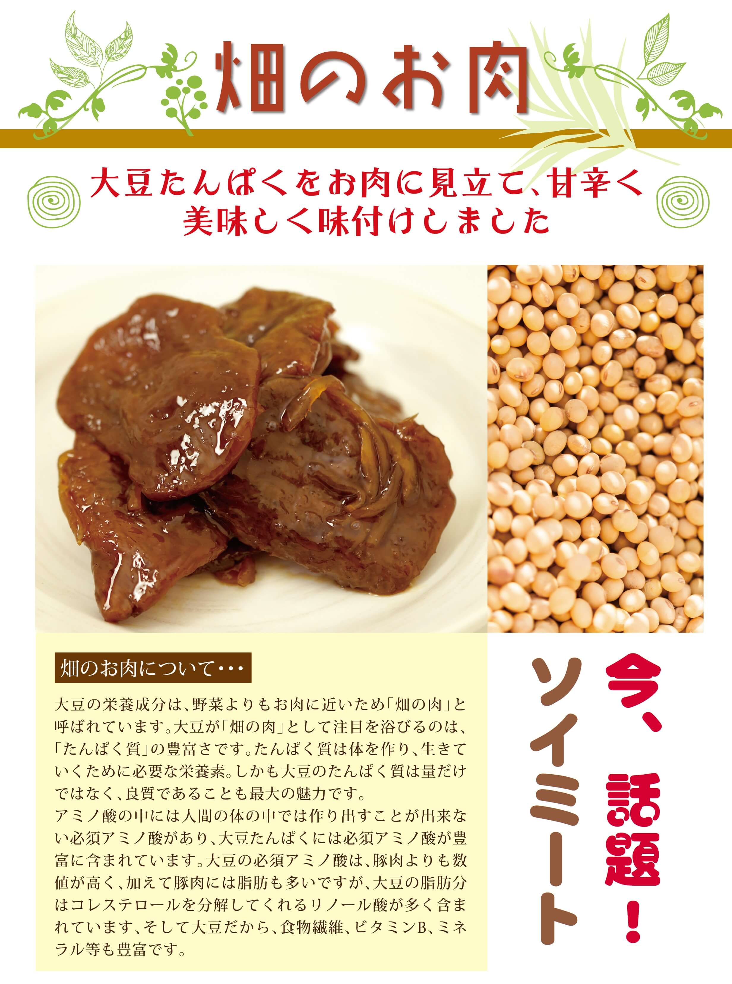 畑のお肉 大豆たんぱく 植物肉 フェイクミート ひごもん家 畑のお肉 大豆たんぱく 植物肉 フェイクミート ひごもん家