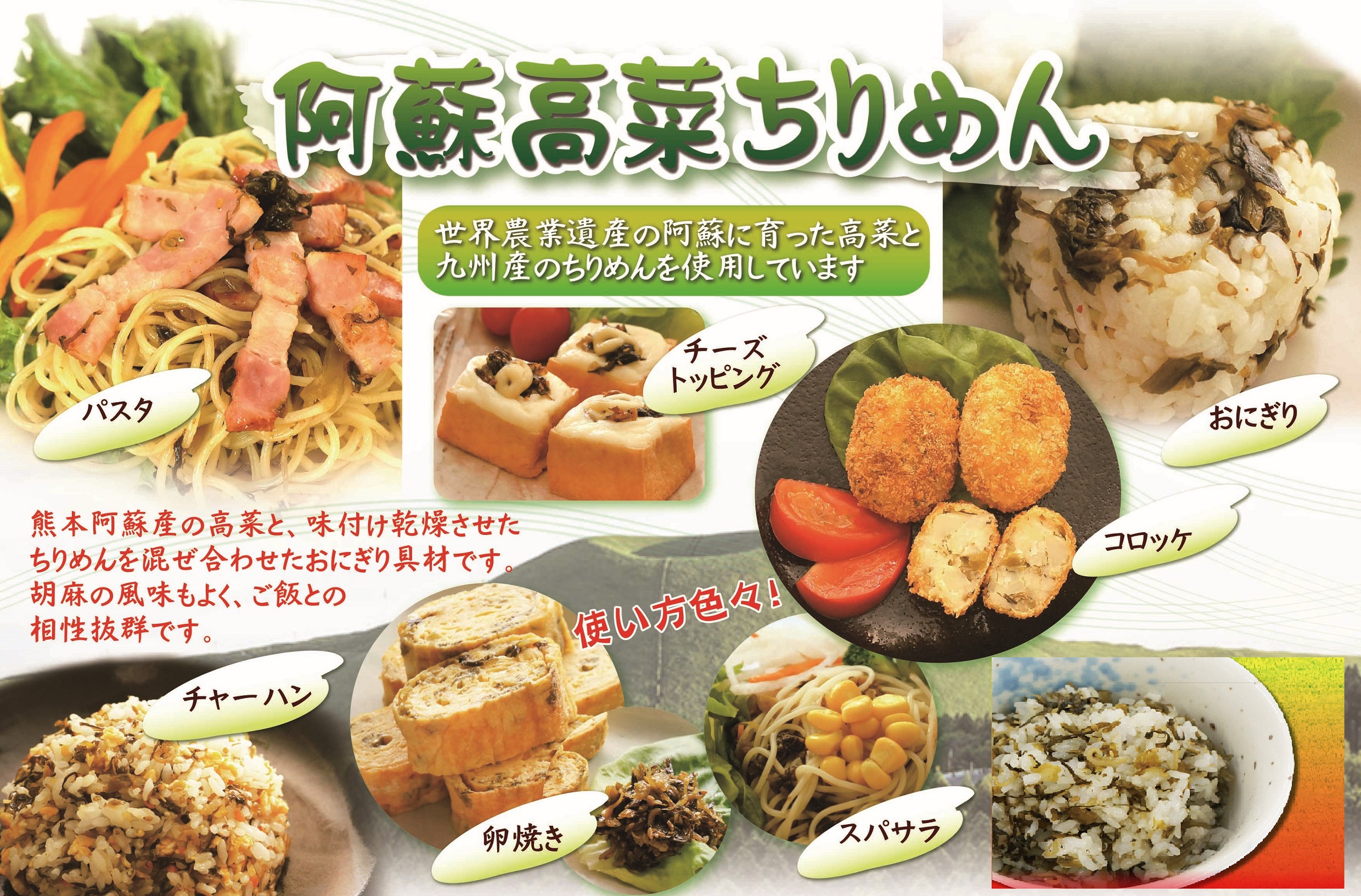 九州阿蘇高菜 九州ちりめん パスタ チャーハン まぜご飯 | ひごもん家